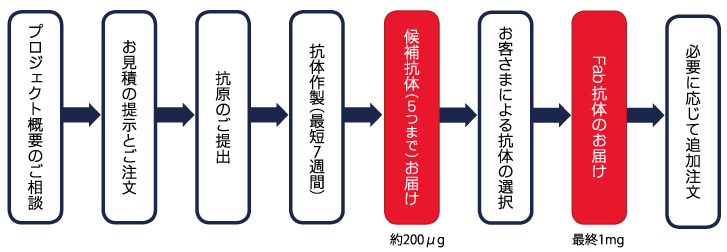 サービスの流れ