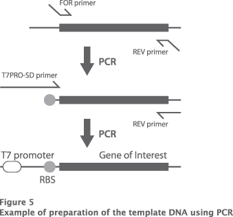 2 step PCR