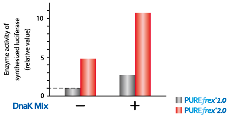 Luciferase activity